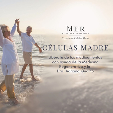 Slider image (7) Clinica MER Cancun